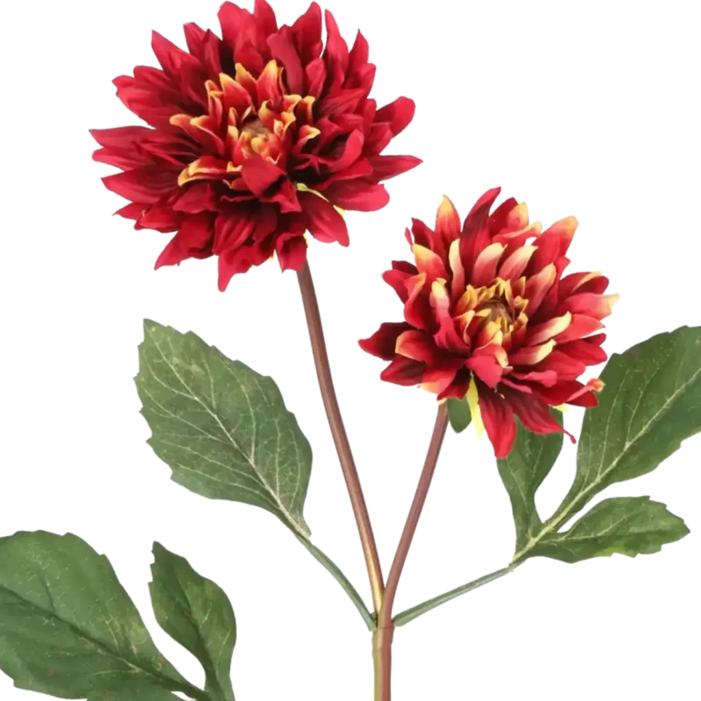 Closeup af Kunstig vinrød Dahlia stilk - L: 55 cm.