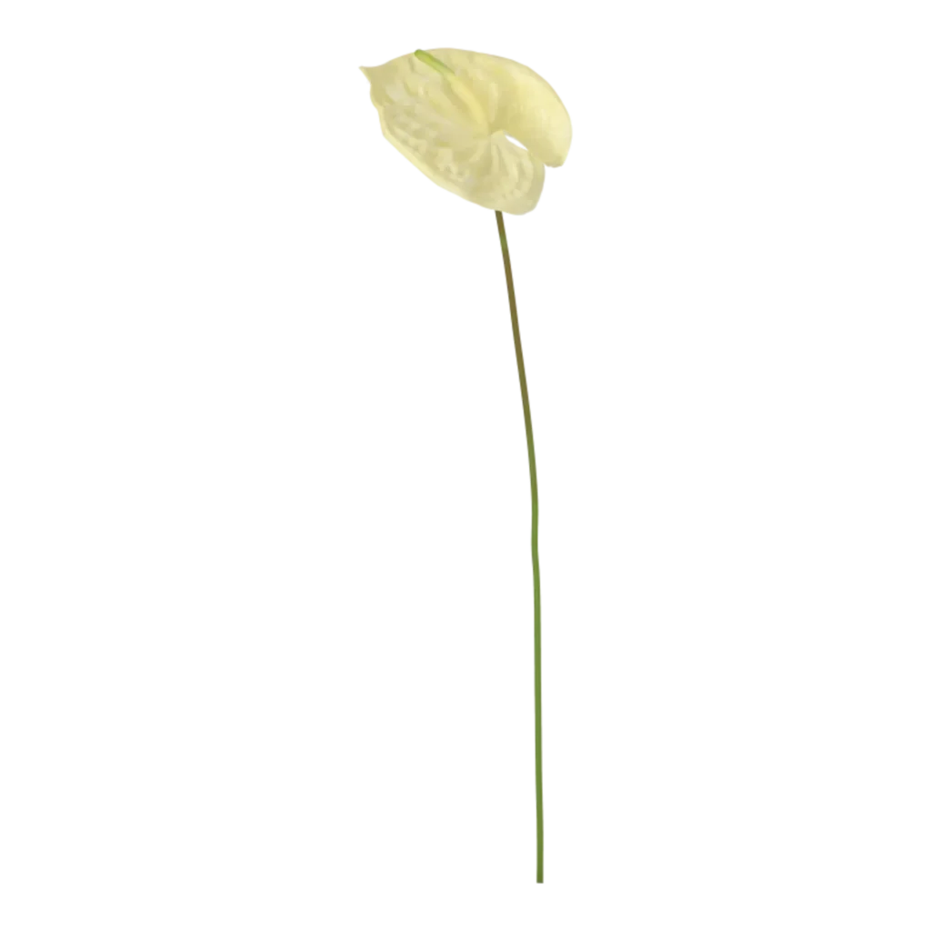 Kunstig Anthurium L: 67 cm.