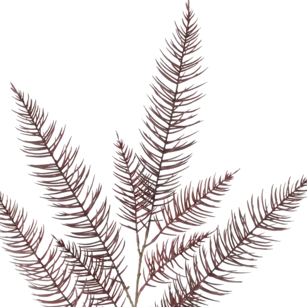 Closeup af Kunstig vinrød Asparagus gren L 120 cm.