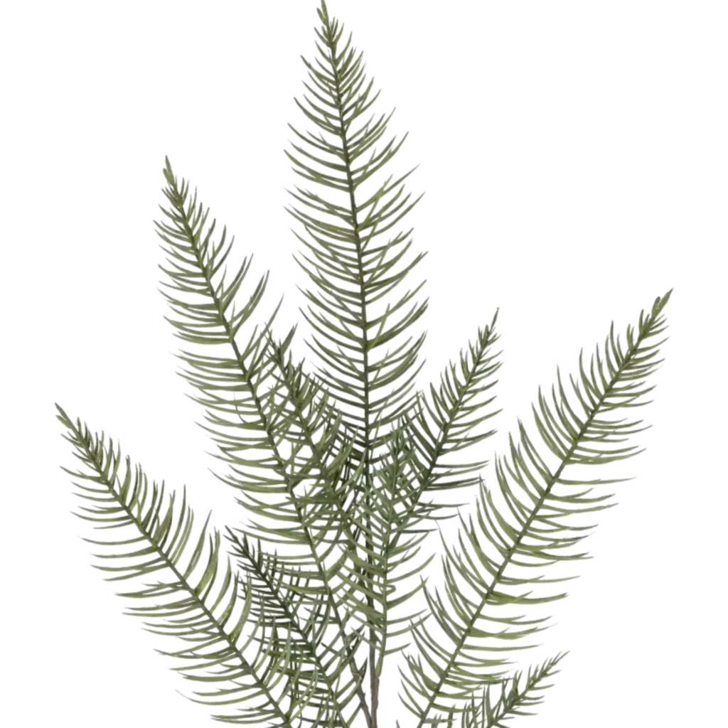 Closeup af Kunstig Asparagus gren - L: 120 cm.