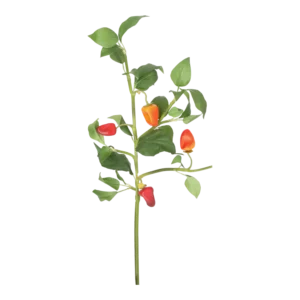 Kunstig Peber L: 50 cm.
