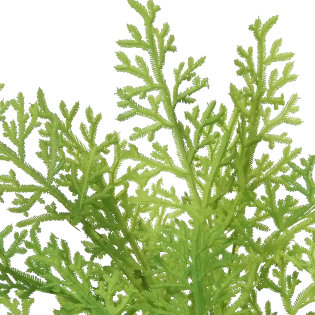 Closeup af Kunstig Thuja H: 54 cm.