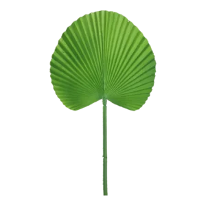 Kunstig Palmeblad L: 55 cm.