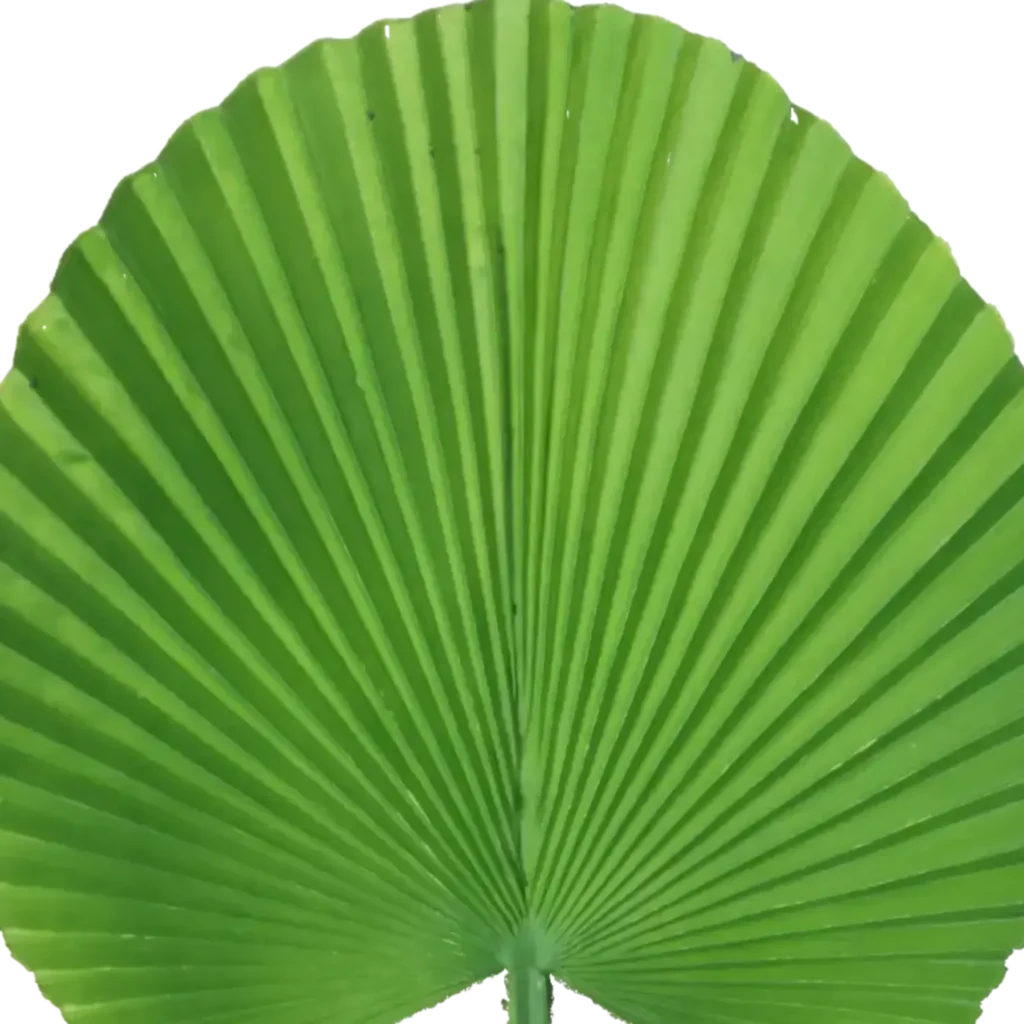 Closeup af Kunstig Palmeblad L: 55 cm.
