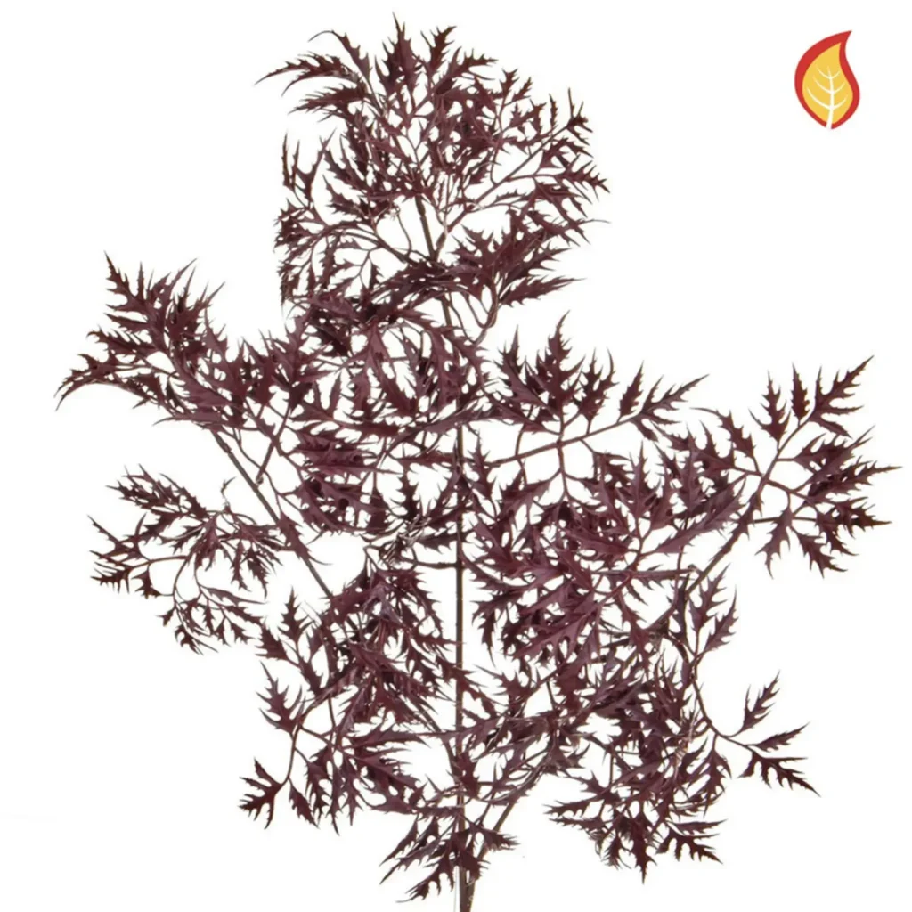 Kunstig Ming Aralia FR L: 72 cm.