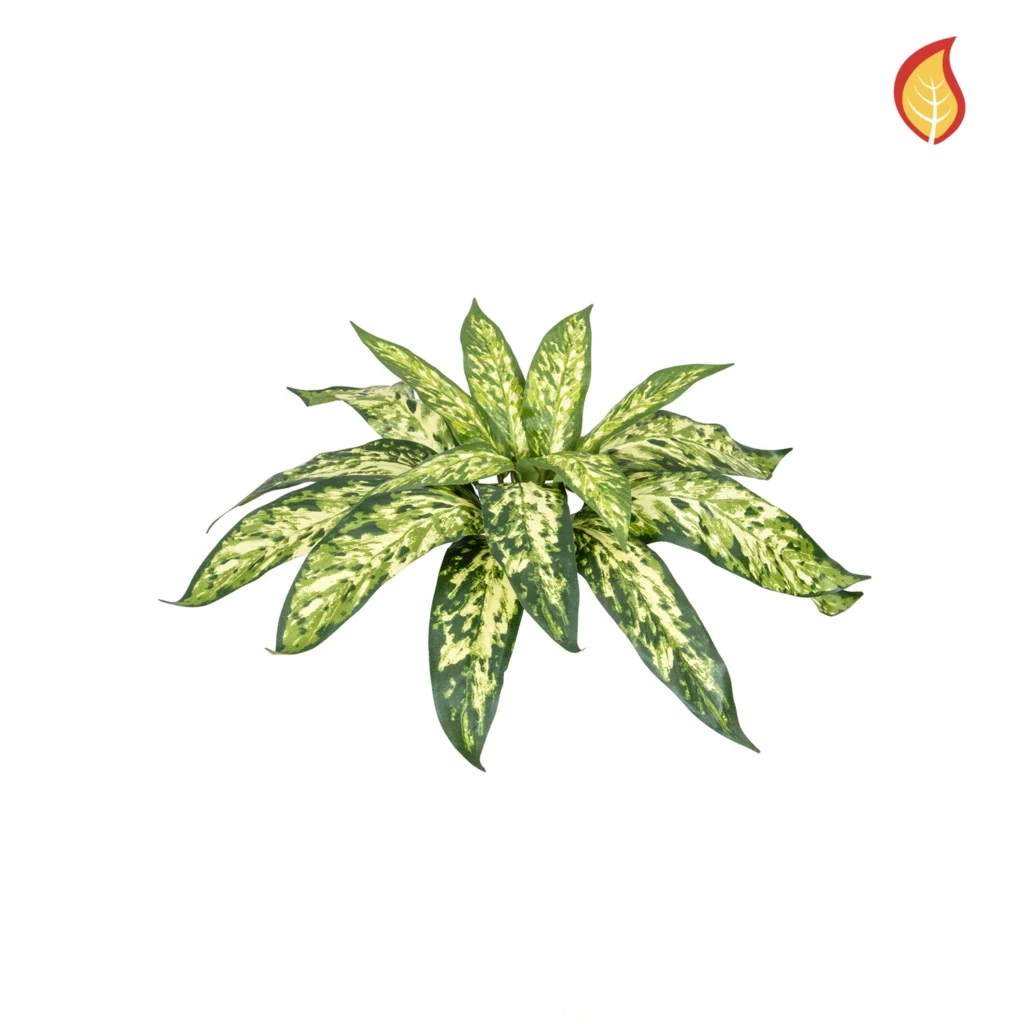Kunstig Aglaonema FR H: 37 cm.