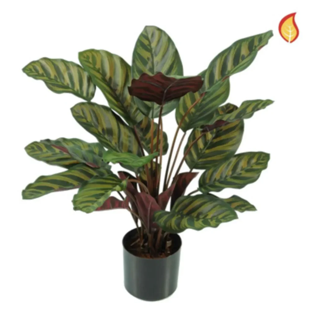 Kunstig Calathea FR H: 58 cm.