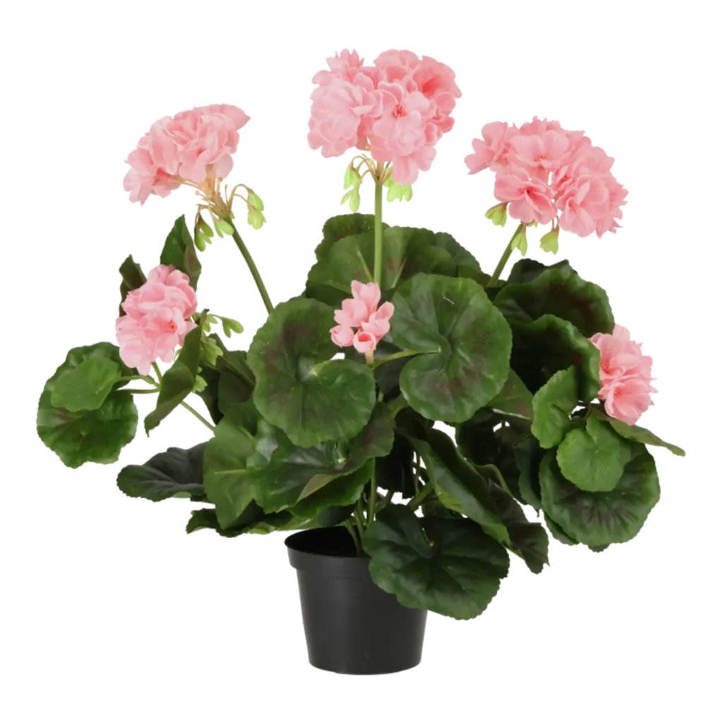 Kunstig pelargonie lyserød - H: 35 cm.