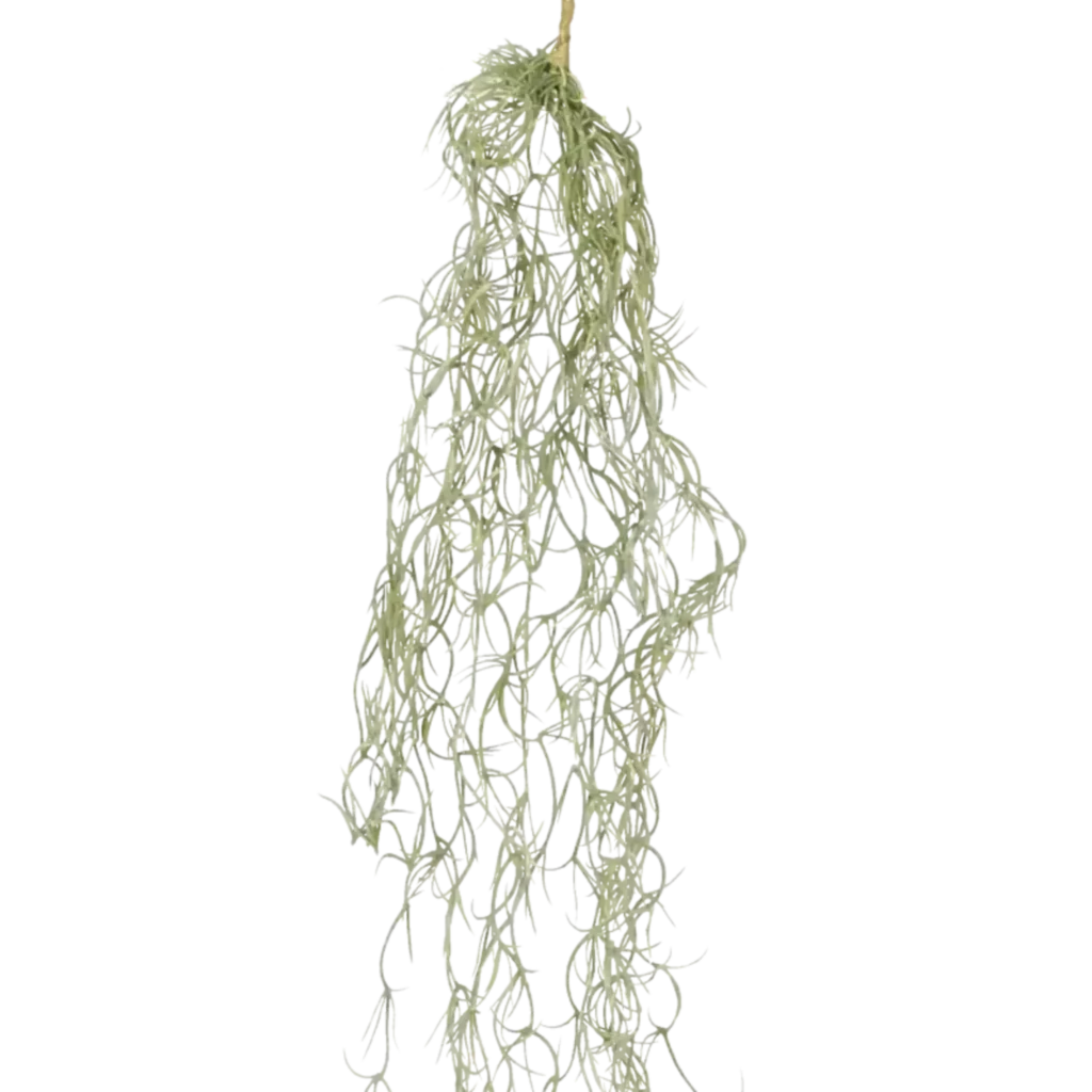 Closeup af Kunstig tillandsia ranke - L: 70 cm.