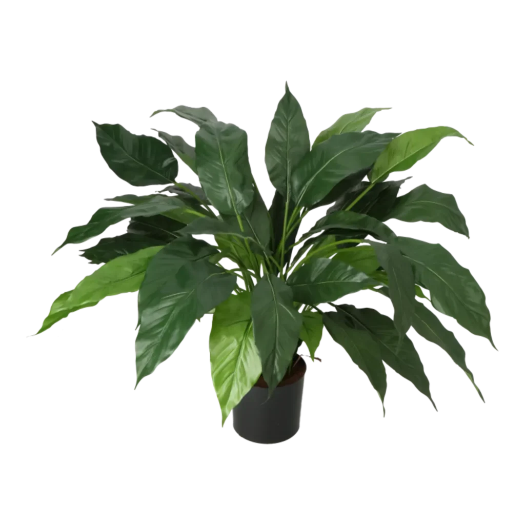 Kunstig fredslilje - H: 75 cm.