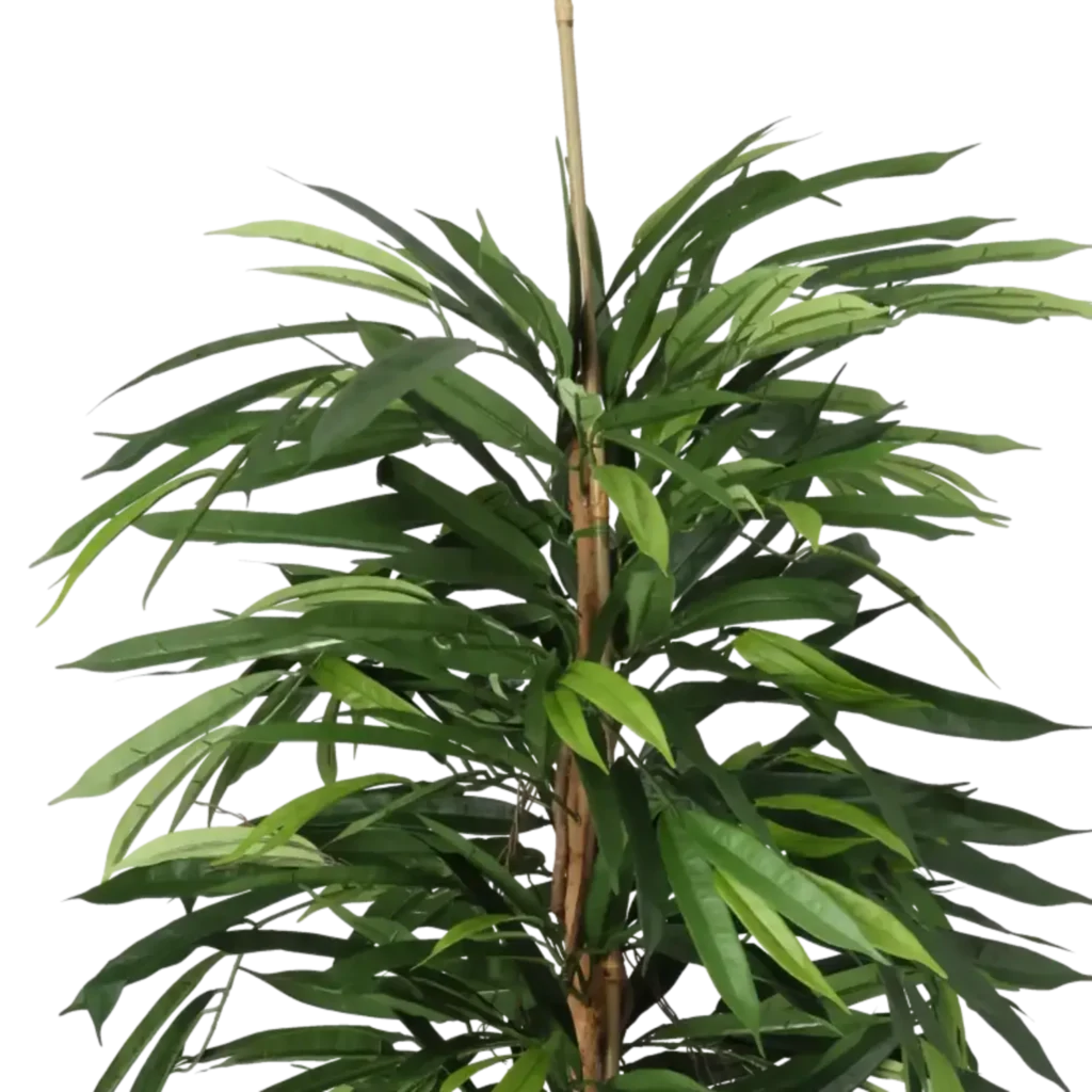 Closeup af Kunstig Longifolia Deluxe træ FR - H: 150 cm.
