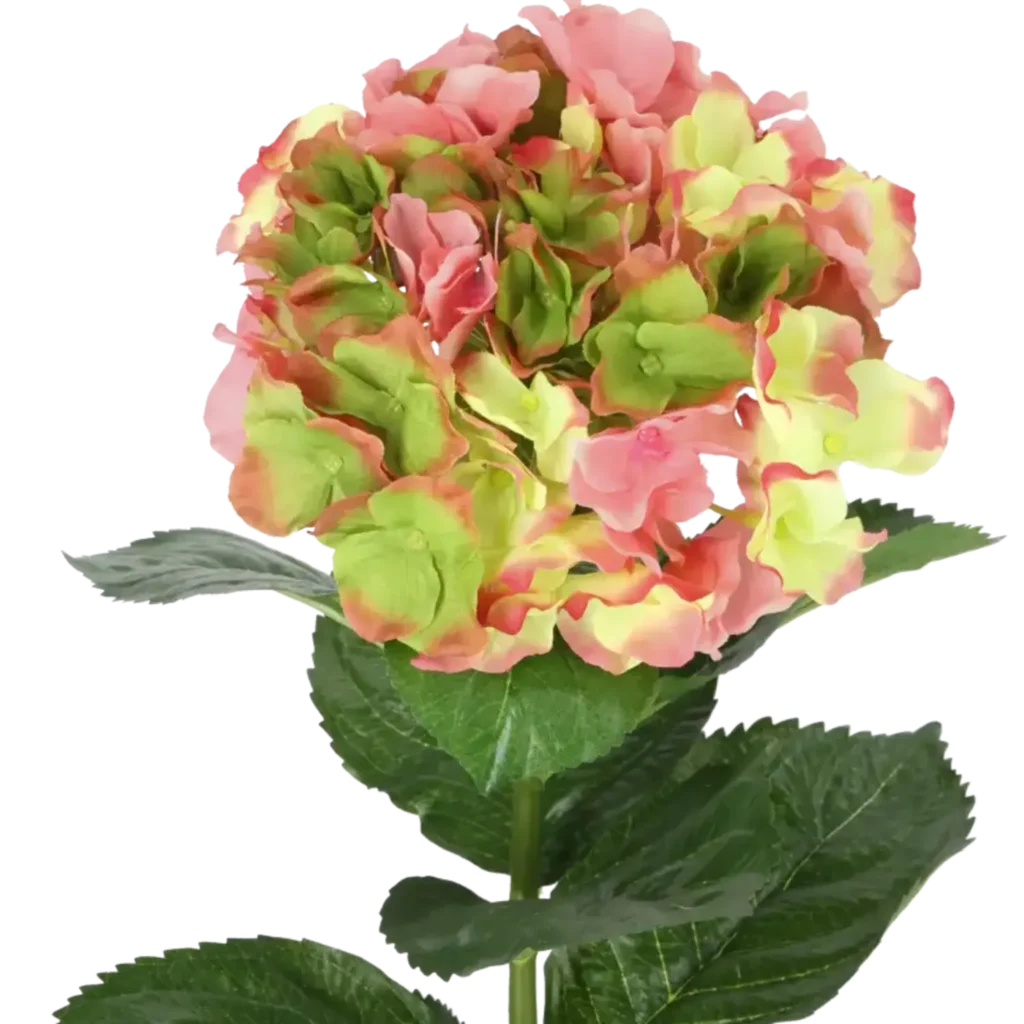 Closeup af Kunstig Hortensia stilk i creme - L: 50 cm.