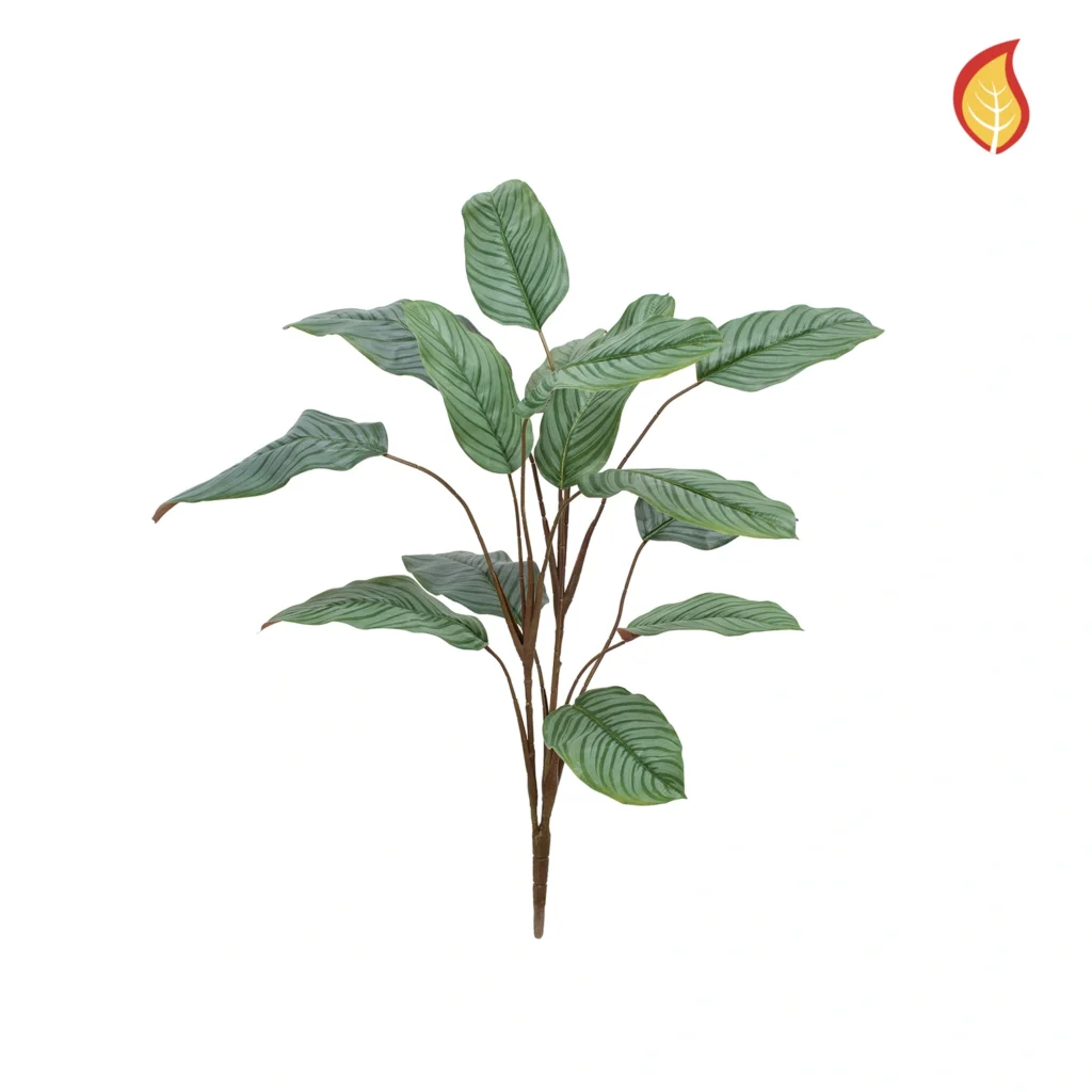 Kunstig Calathea FR H: 112 cm.