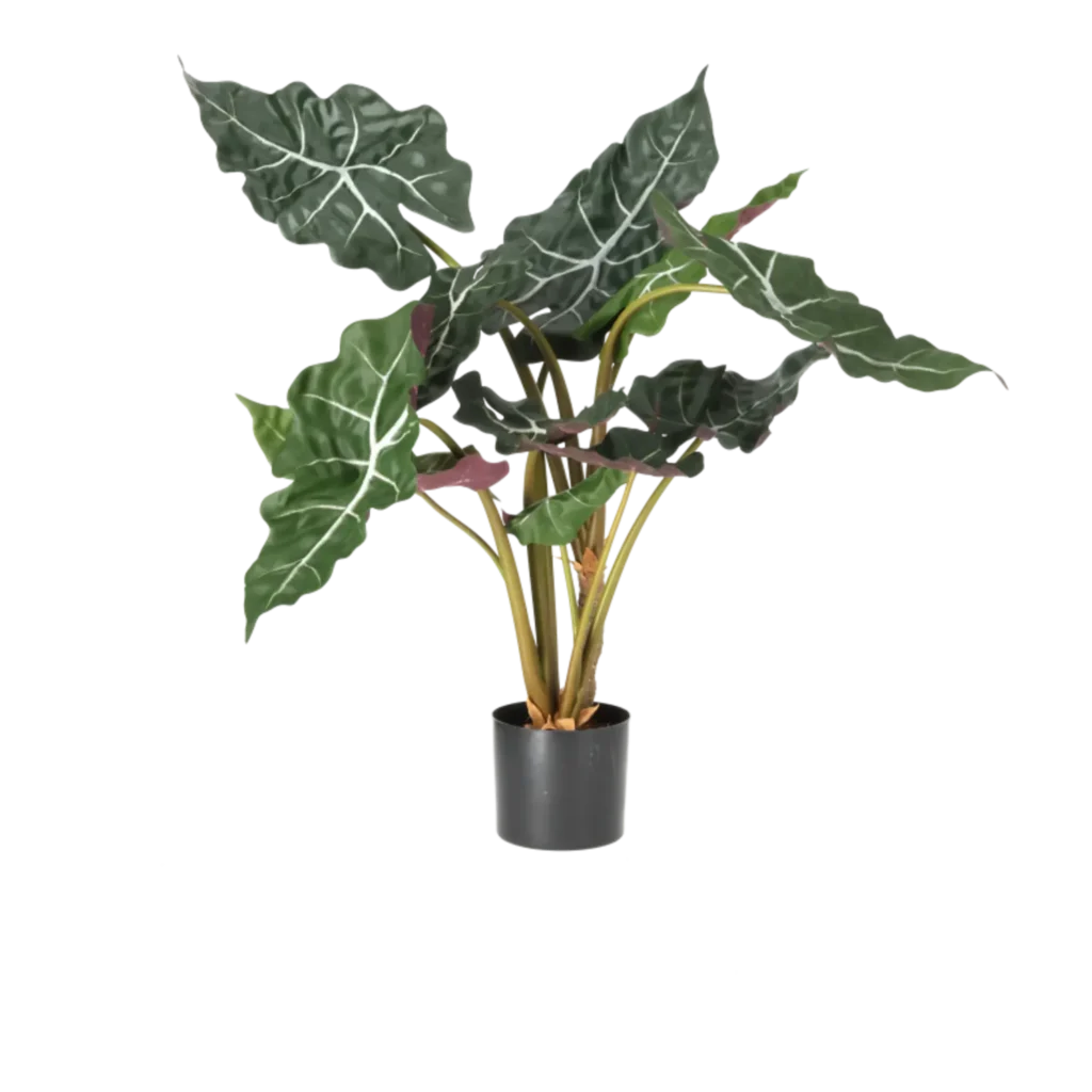 Kunstig alocasia - H: 60 cm.