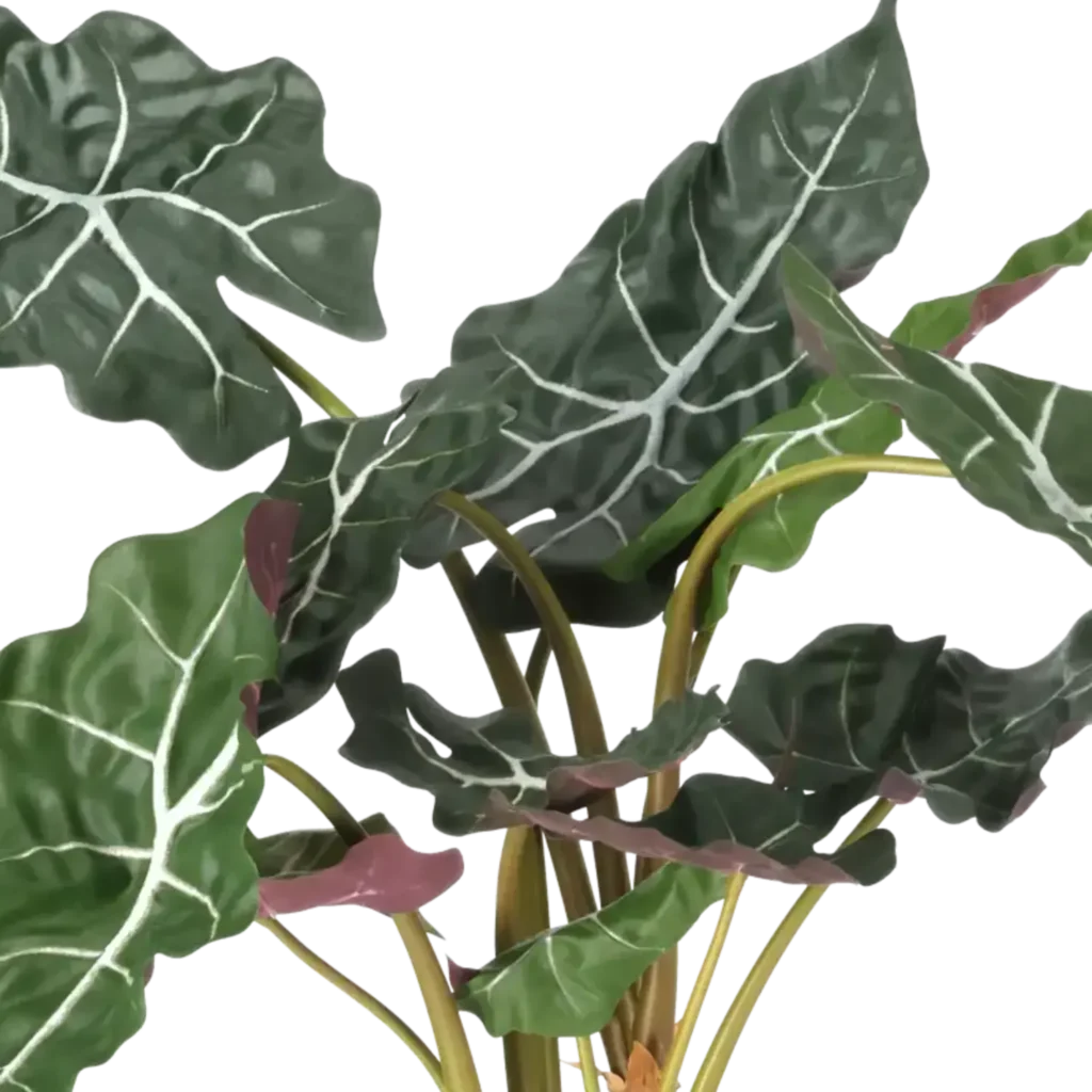 Closeup af Kunstig alocasia - H: 60 cm.
