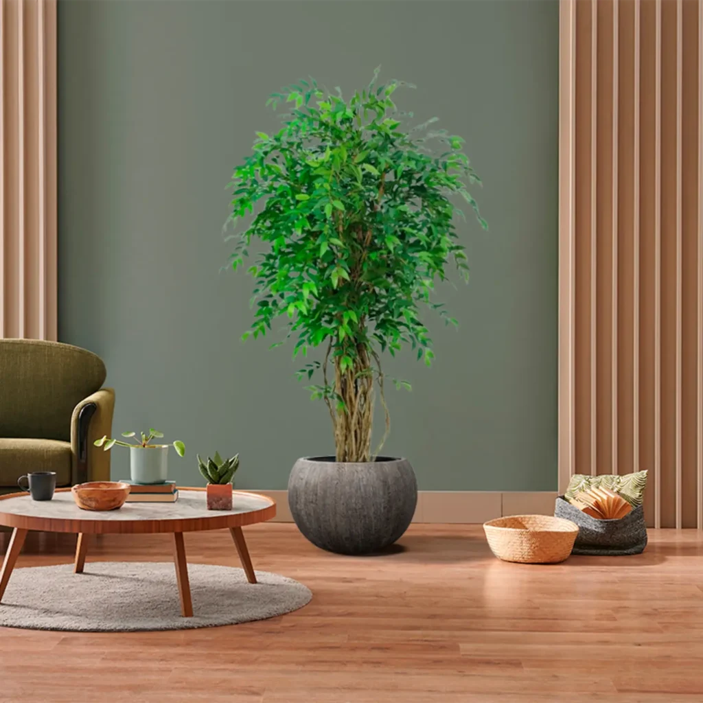 Kunstig Ficus Liana H: 170 cm.