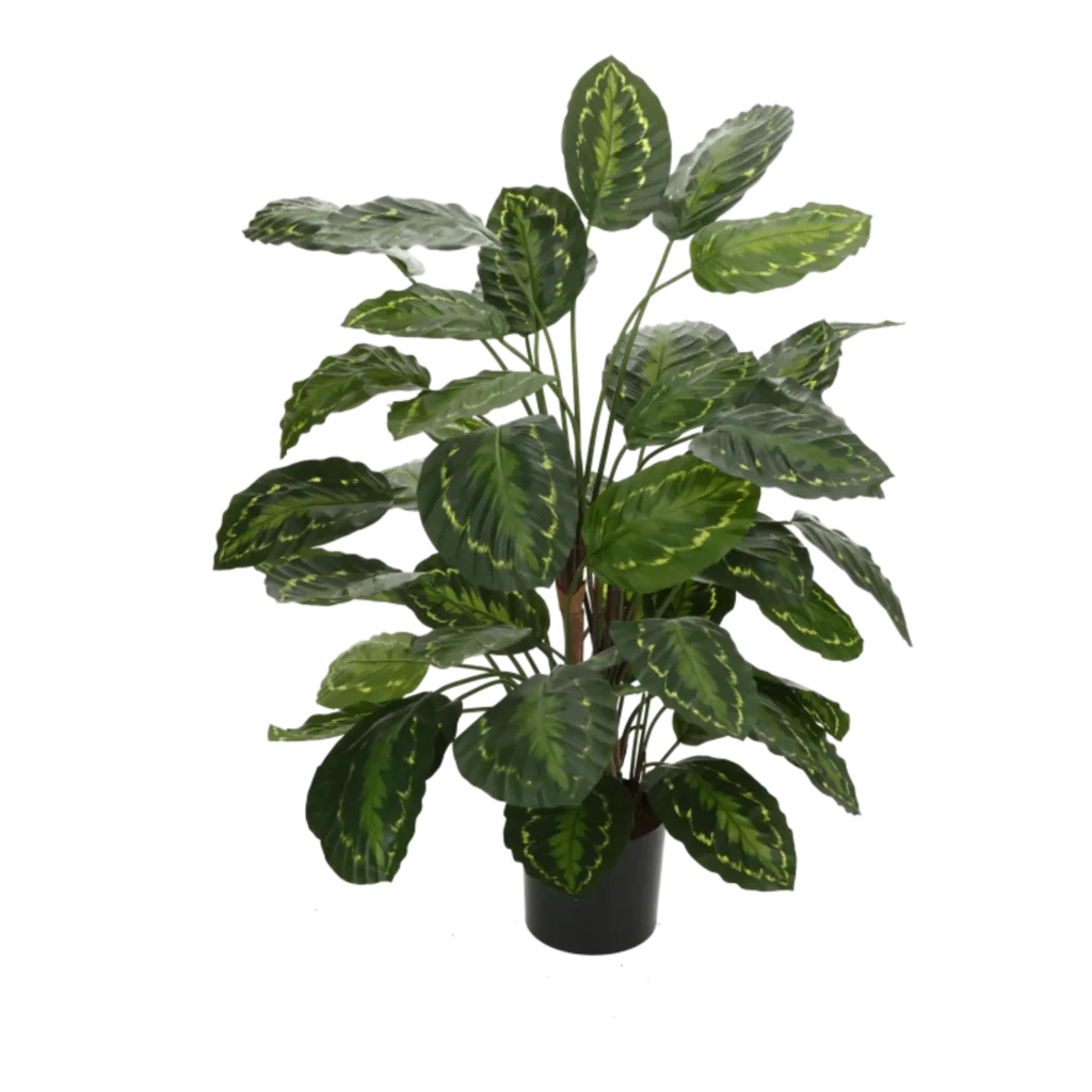 Kunstig Calathea - H: 95 cm.