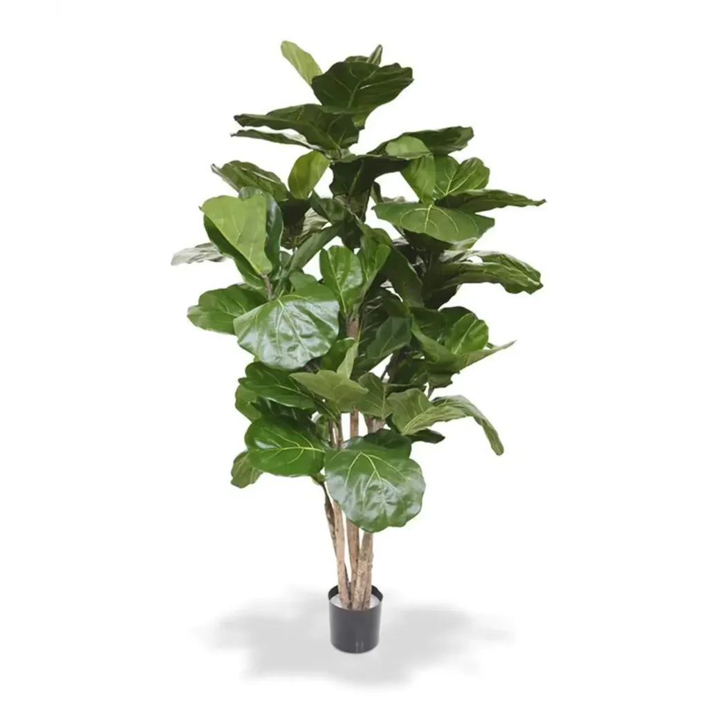 Kunstig ficus lyrata - H: 170 cm.