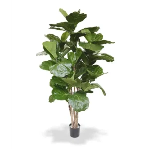 Kunstig ficus lyrata - H: 170 cm.