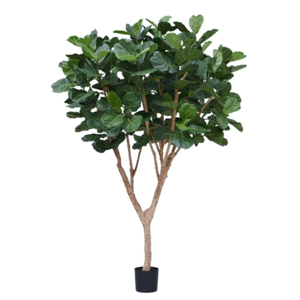 Kunstig Ficus Lyrata H: 300 cm.