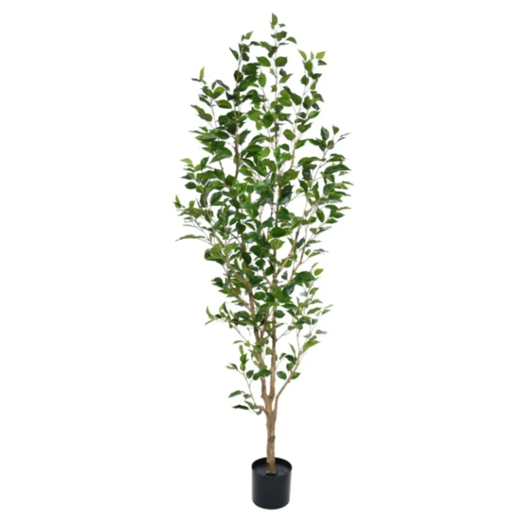 Kunstig Ficus Exotica H: 190 cm.