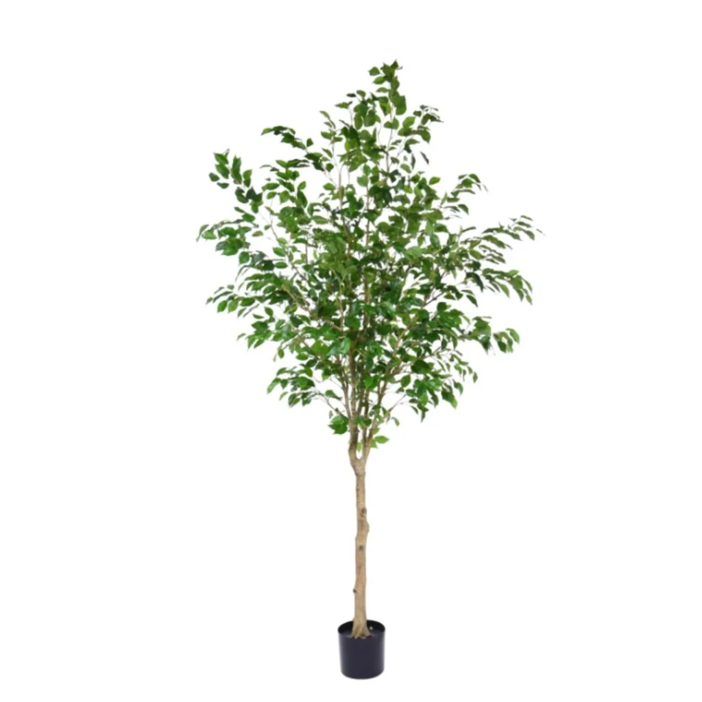 Kunstig Ficus Exotica H: 230 cm.