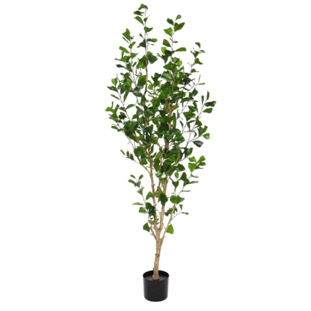 Kunstig Triangularis H: 180 cm.