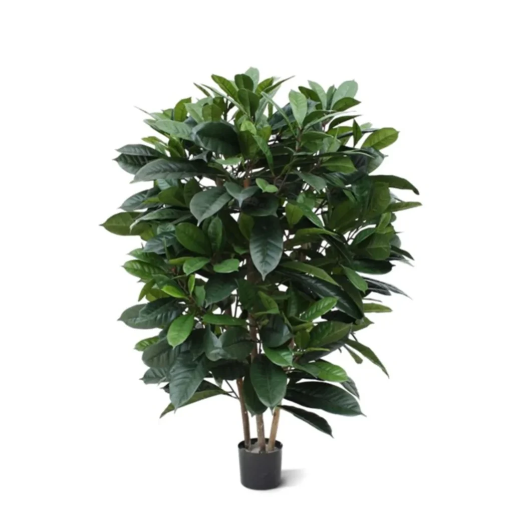 Kunstig ficus Cyathistipula H: 120 cm.