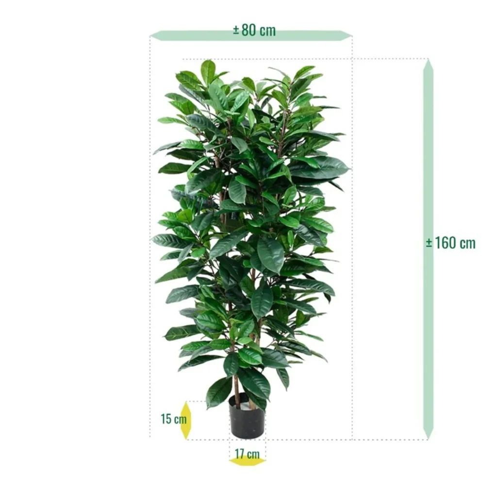 Kunstig Ficus Cyathistipula H:160 cm.