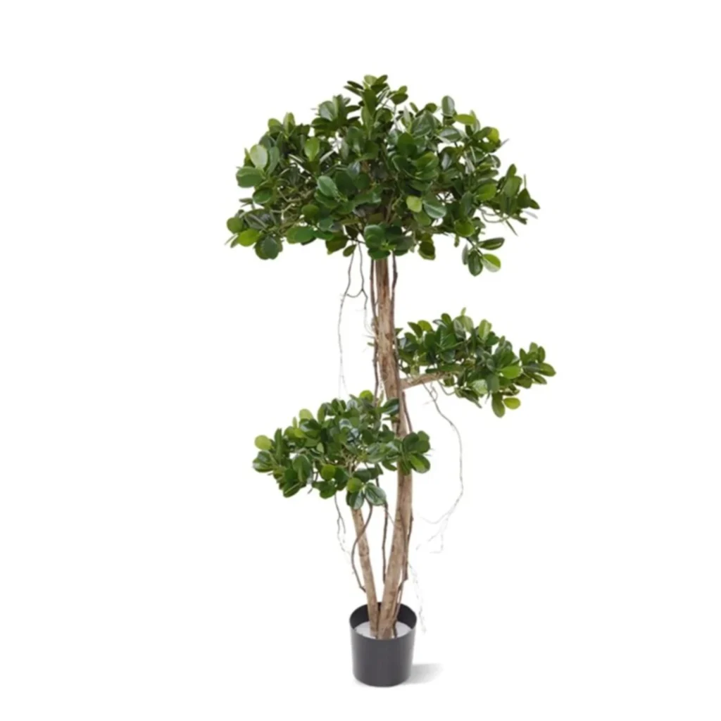 Kunstig Ficus Panda H: 140 cm.