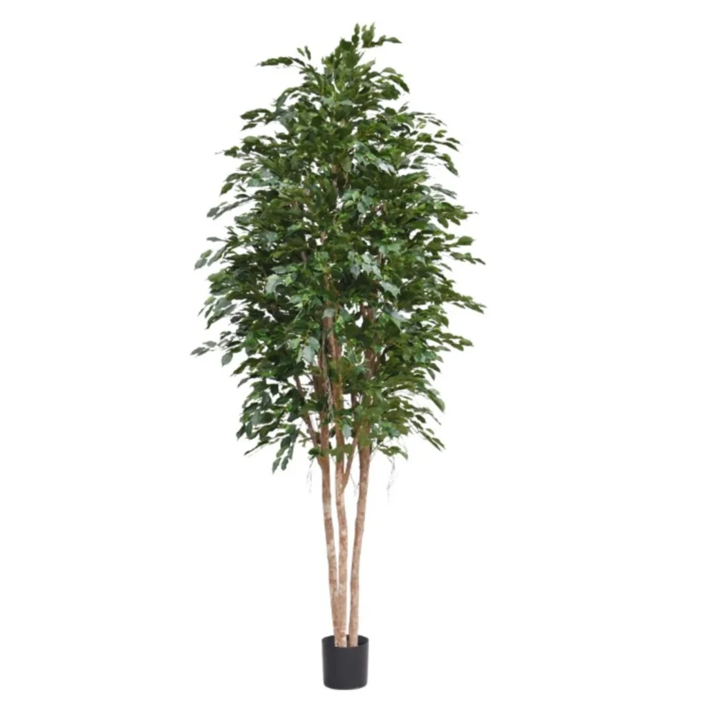 Kunstig Ficus Exotica H: 300 cm.