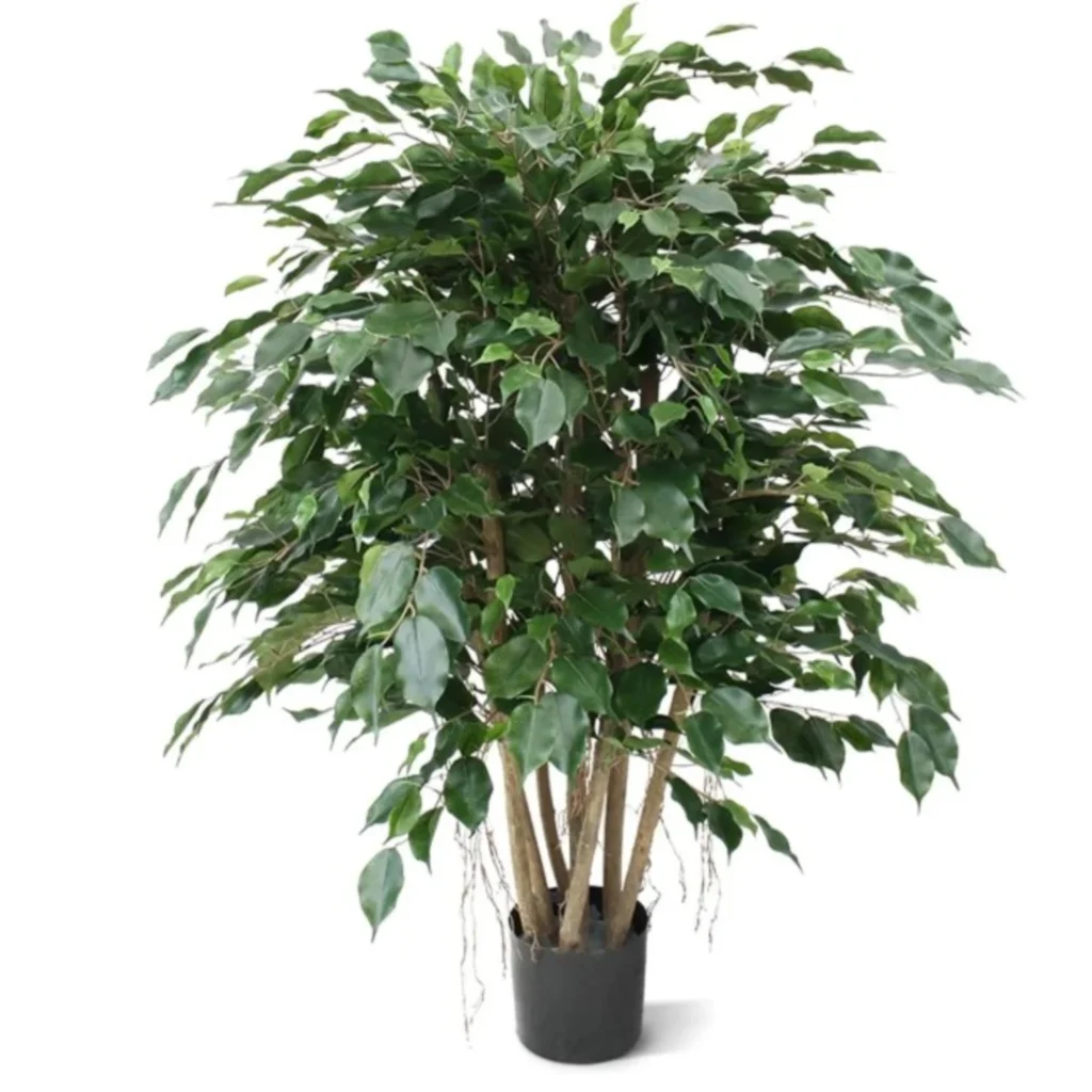 Kunstig Ficus Exotica H: 110 cm.