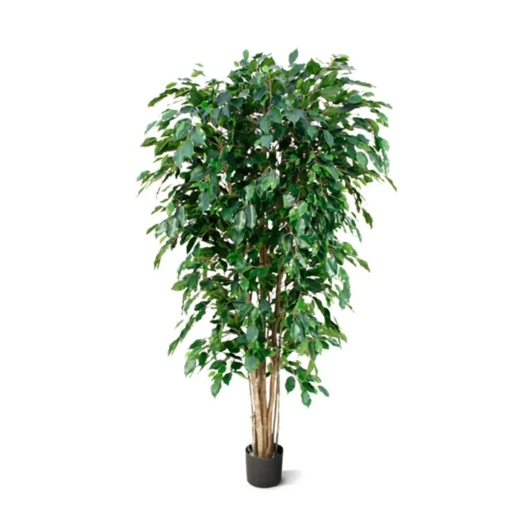 Kunstig Ficus Benjamina H: 180 cm.