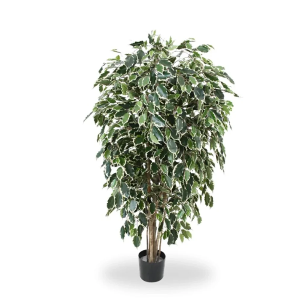 Kunstig Ficus Benjamina H: 150 cm.