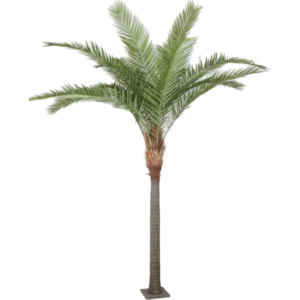Kunstig Phoenix palme H: 360 cm.