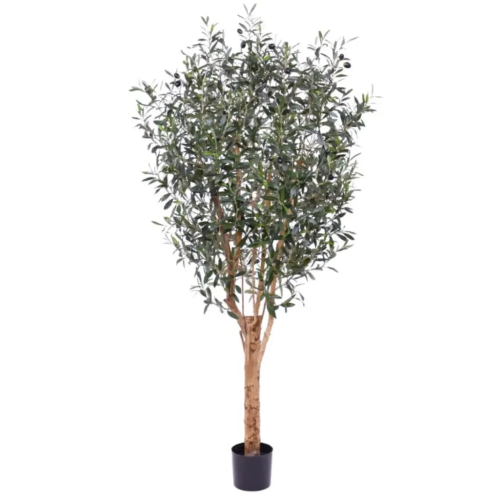 Kunstig oliventræ med frugter - H: 180 cm.