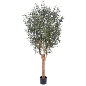 Kunstig oliventræ med frugter - H: 180 cm.