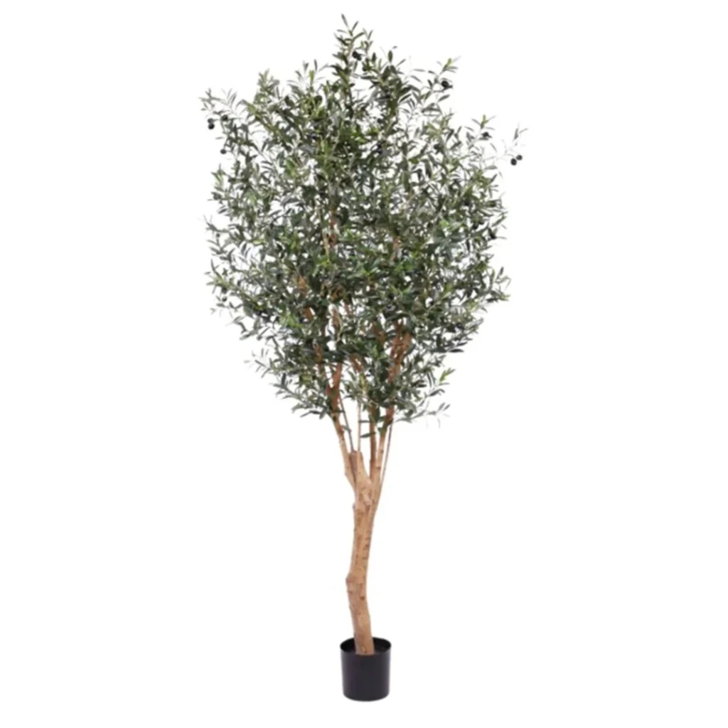 Kunstig Oliventræ H: 250 cm.