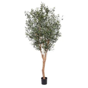 Kunstig Oliventræ H: 250 cm.