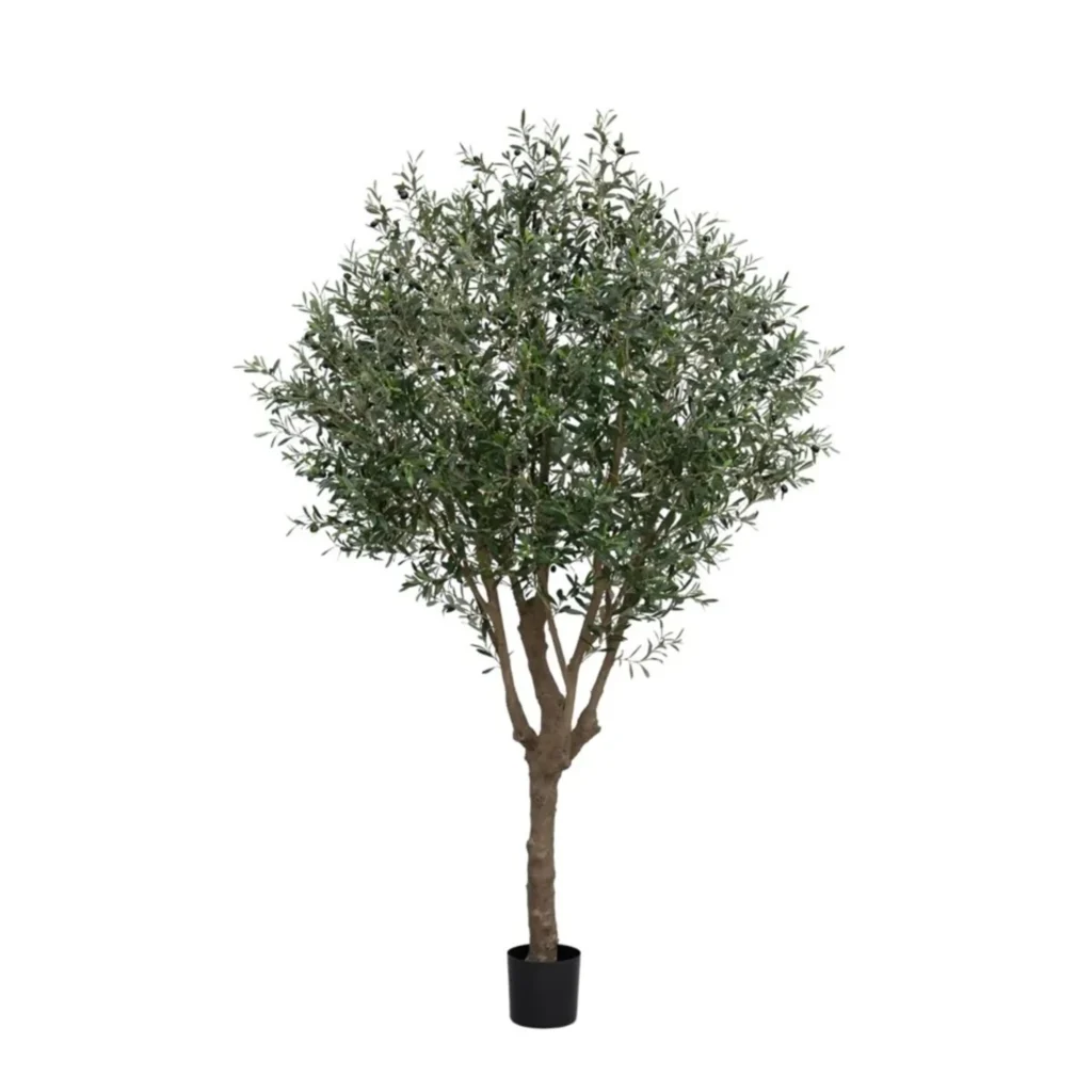 Kunstig Oliventræ H: 250 cm.