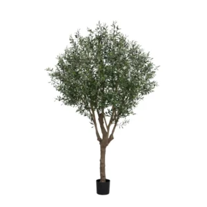 Kunstig Oliventræ H: 250 cm.