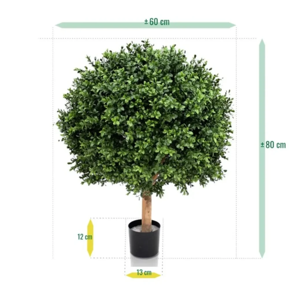 Boxwood Kugle Ø: 60 cm H: 80 cm.