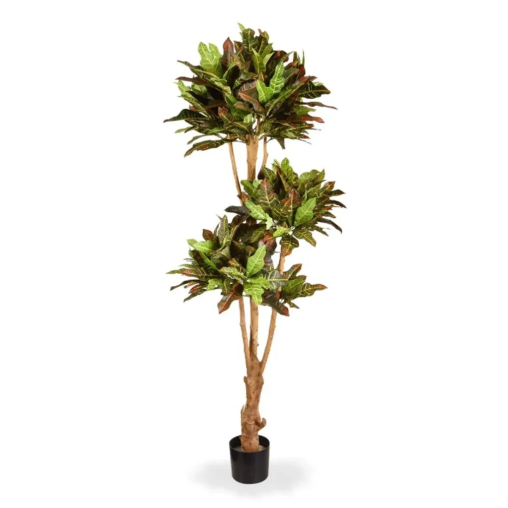 Kunstig Croton H: 175 cm.