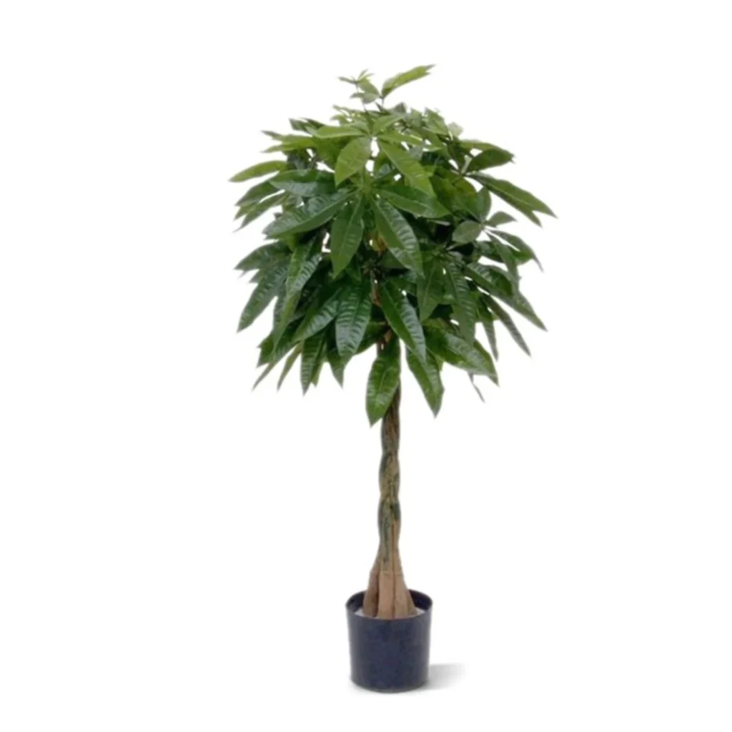 Kunstig Pachira H: 120 cm.