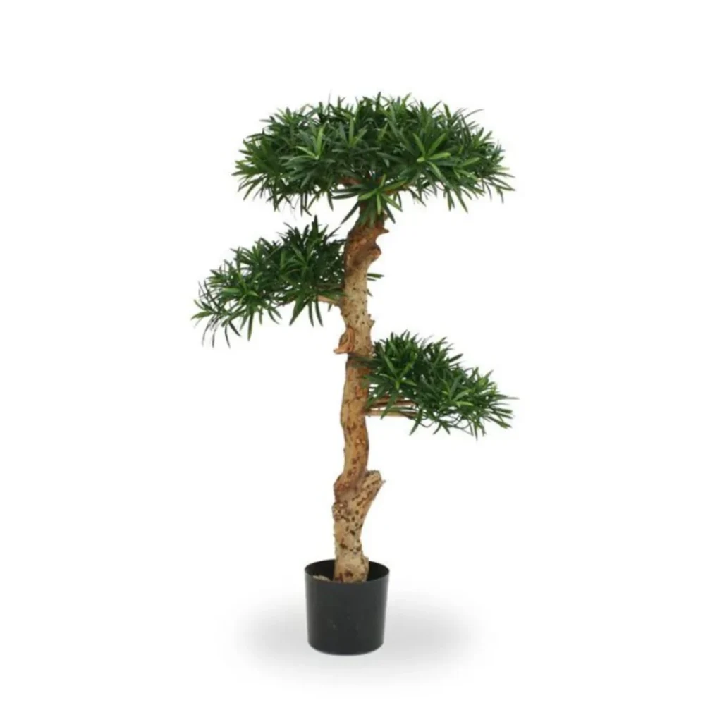 Kunstig Podocarpus Bonsai H: 120 cm.