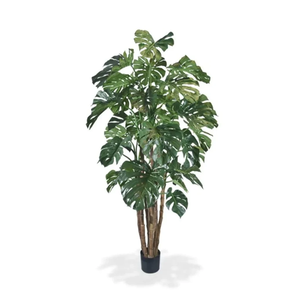 Kunstig Monstera Deliciosa Split H: 210 cm.