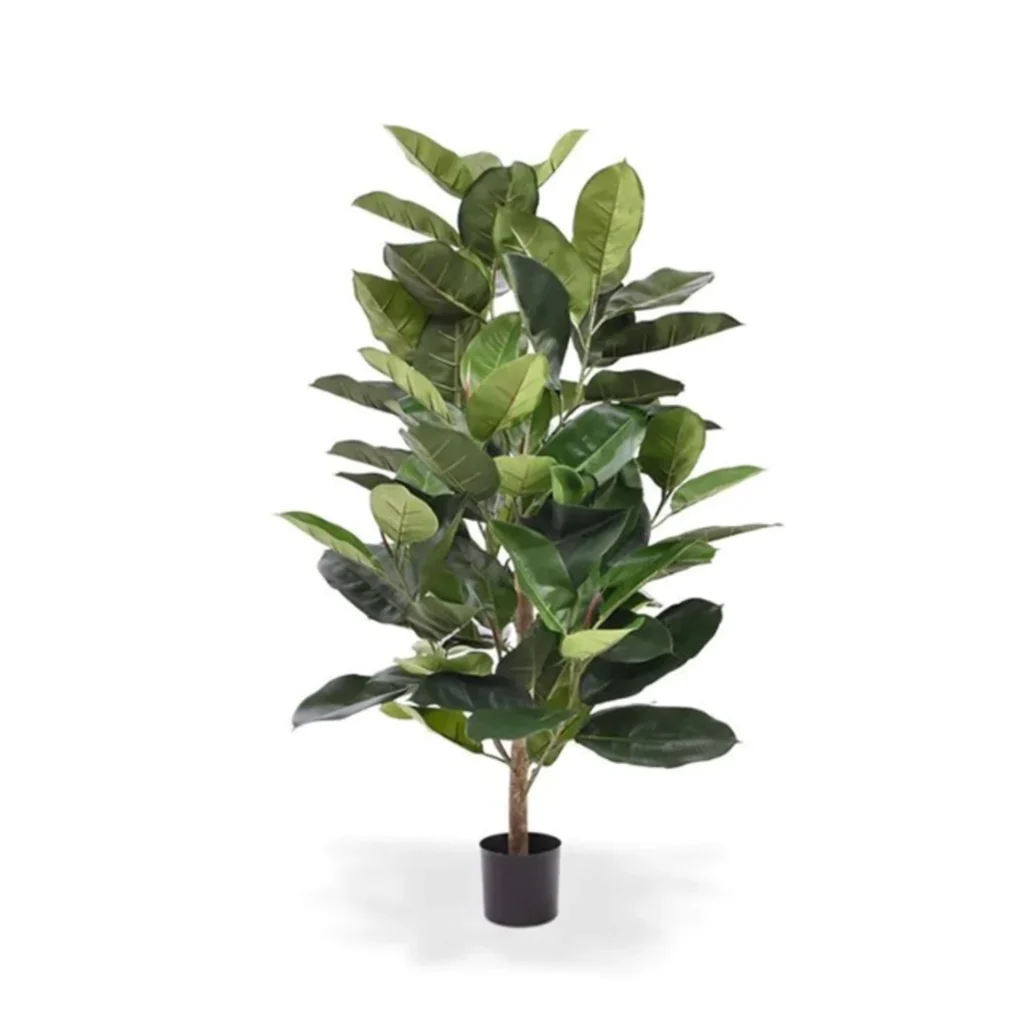 Kunstig Ficus Elastica Robusta H:120 cm.