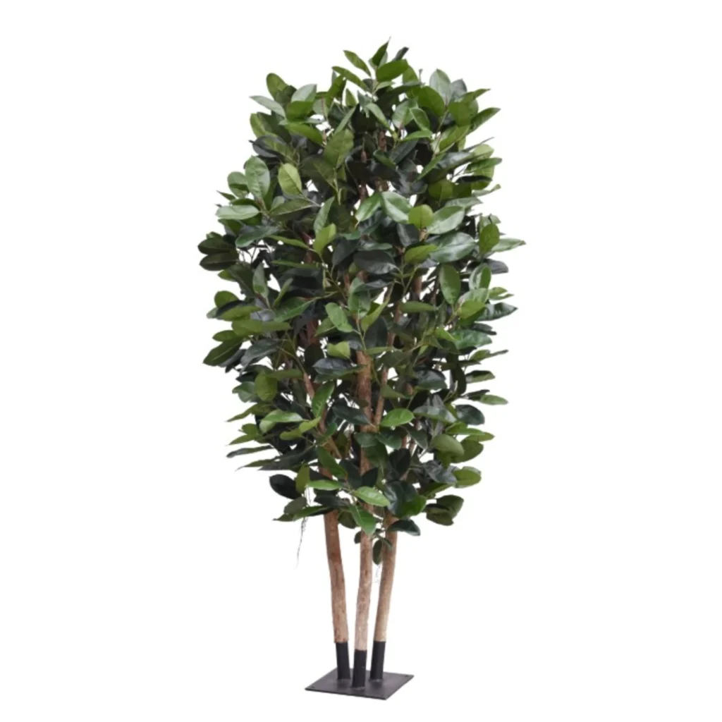 Kunstig Gummiplante H: 300 cm.