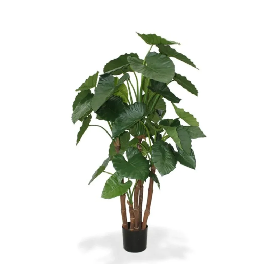 Kunstig alocasia Calidora - H: 165 cm.