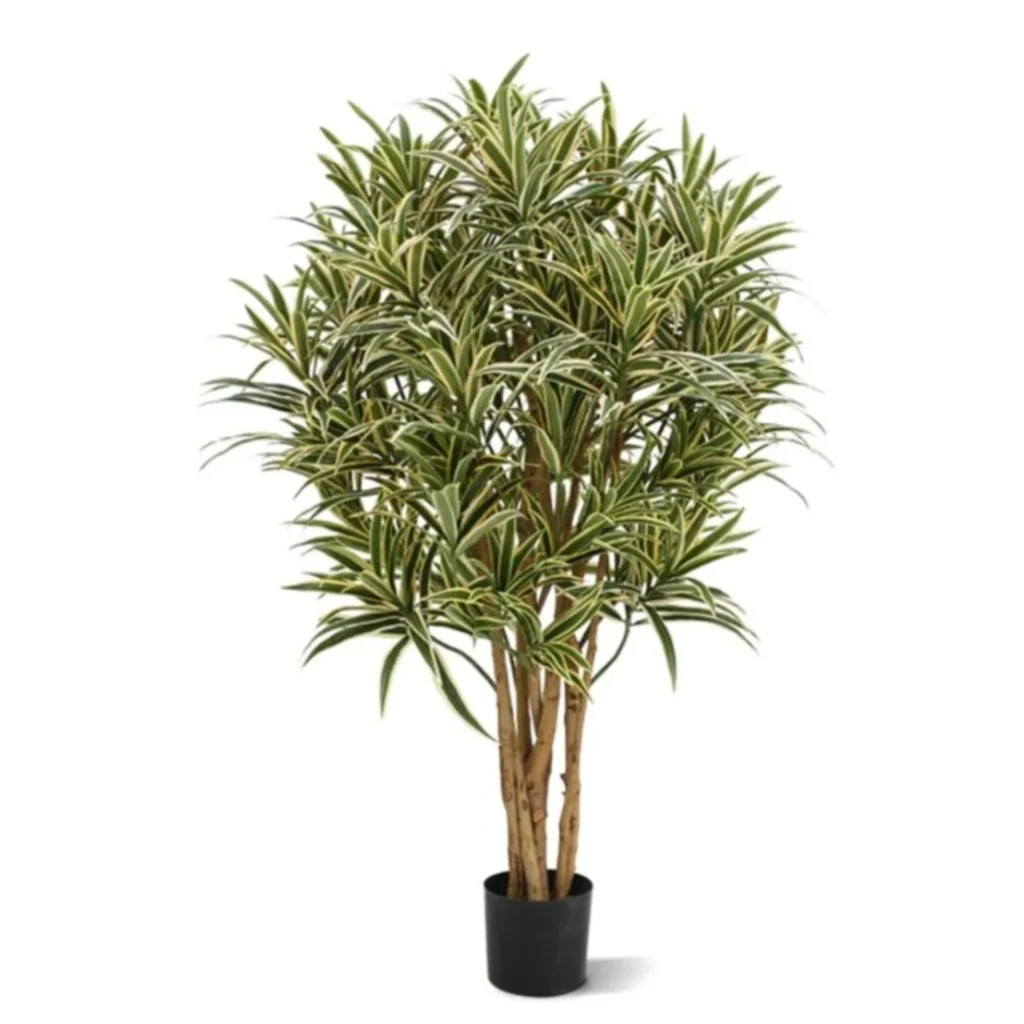 Kunstig Dracaena H: 100 cm.